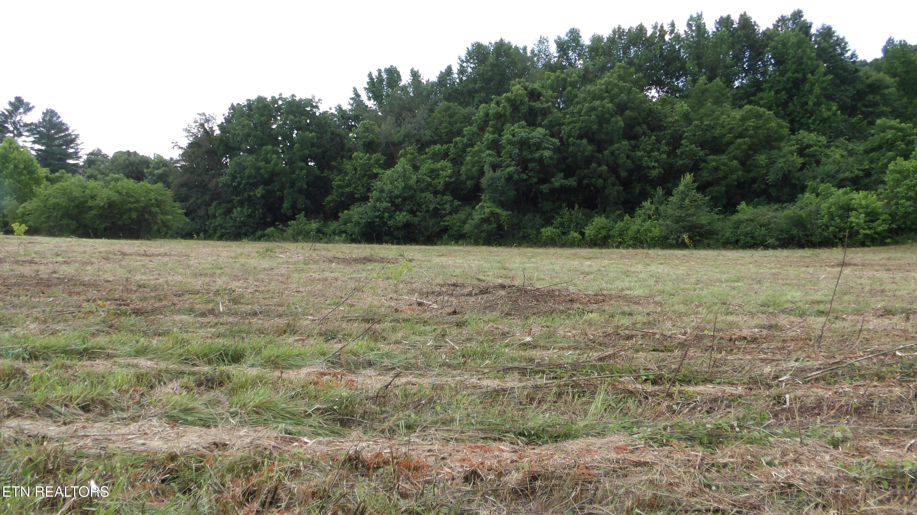 5.6-ac Lonnie Reecer Road Celina, TN 38551 - Photo 8 of 46 100_0039