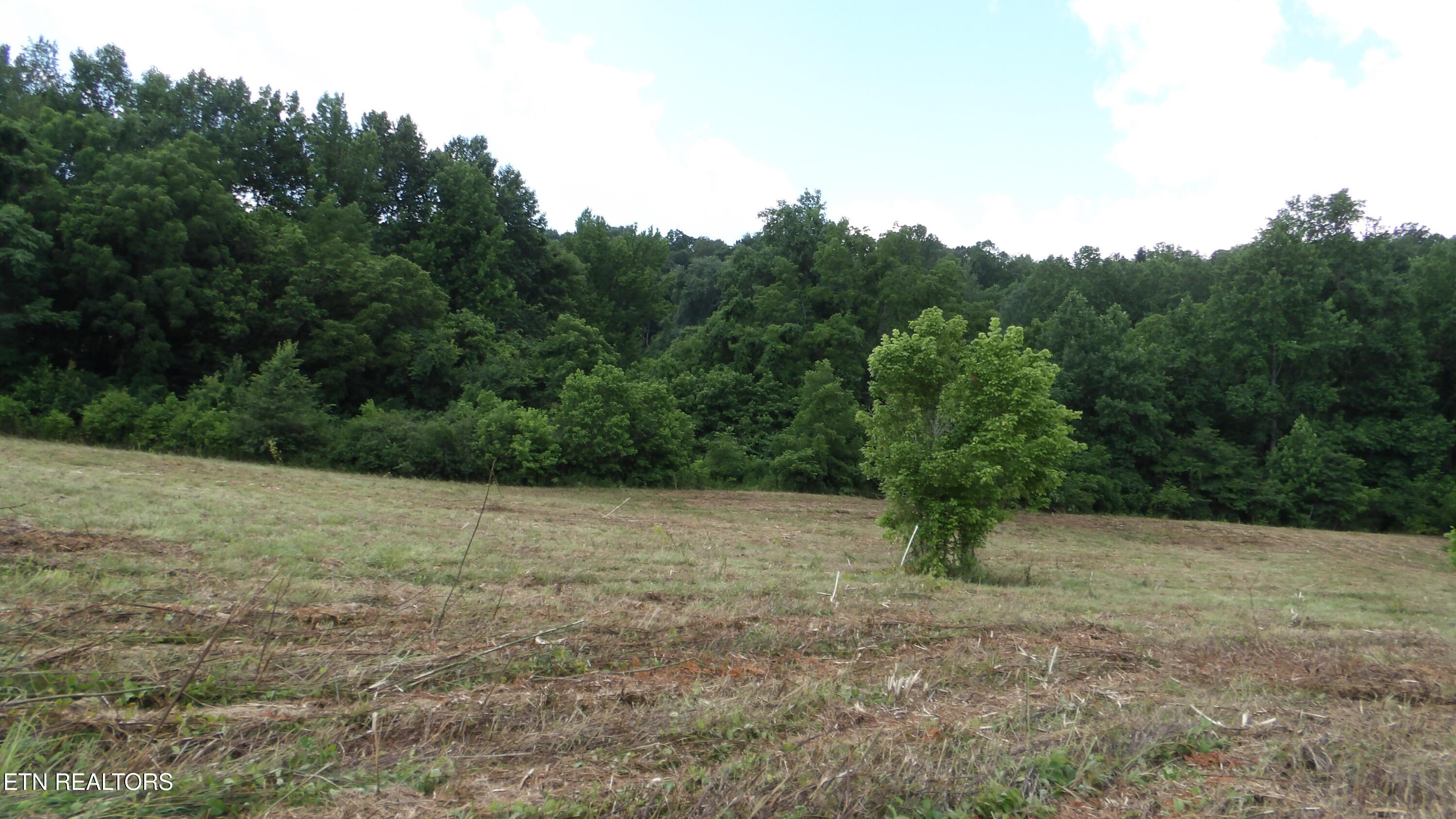 5.6-ac Lonnie Reecer Road Celina, TN 38551 - Photo 9 of 46 100_0041