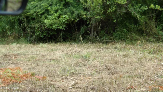 $159,900 | 5.6-ac Lonnie Reecer Road, Celina, TN 38551