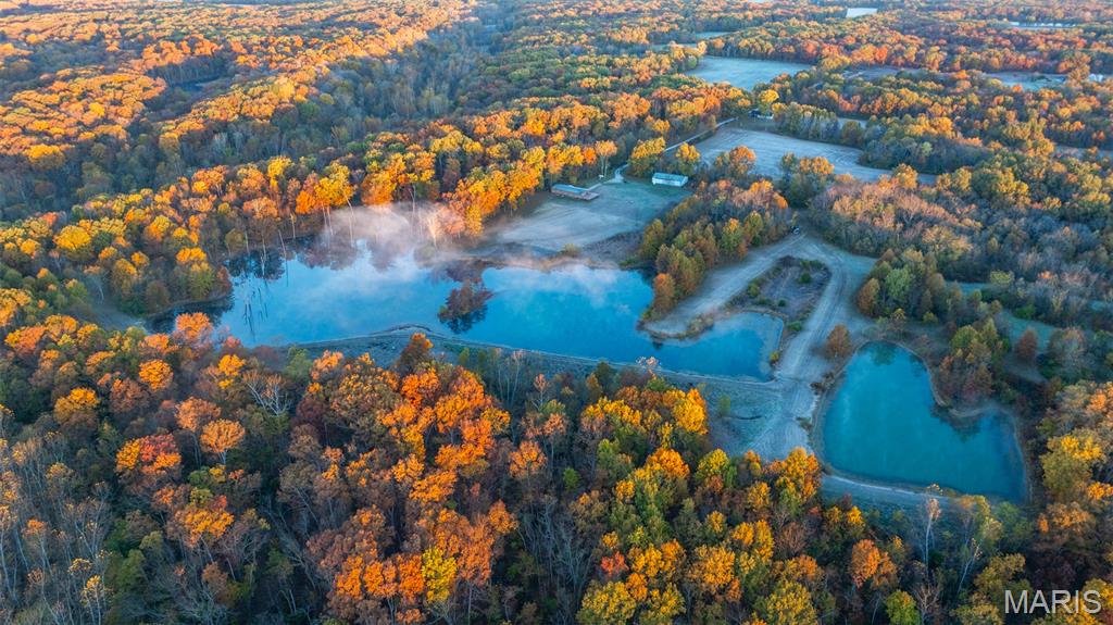 1847 Jaketown Road Donnellson, IL 62019 - Photo 16 of 78