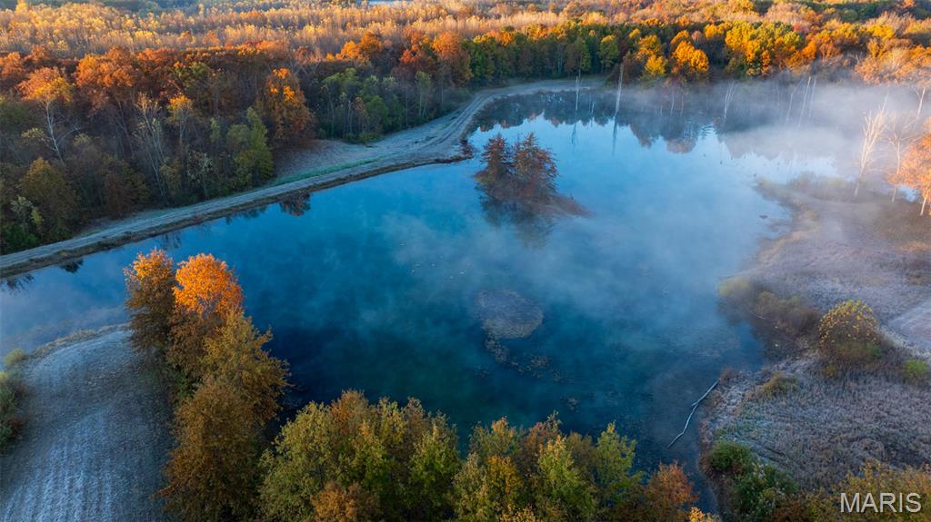 1847 Jaketown Road Donnellson, IL 62019 - Photo 18 of 78