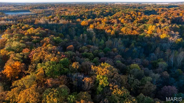 $619,000 | 1847 Jaketown Road, Donnellson, IL 62019