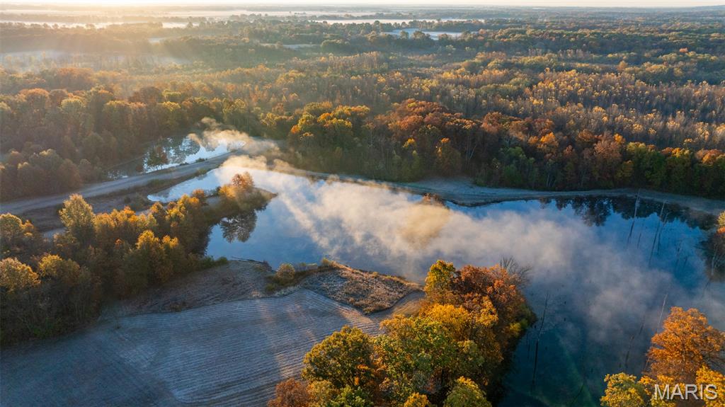 1847 Jaketown Road Donnellson, IL 62019 - Photo 27 of 78