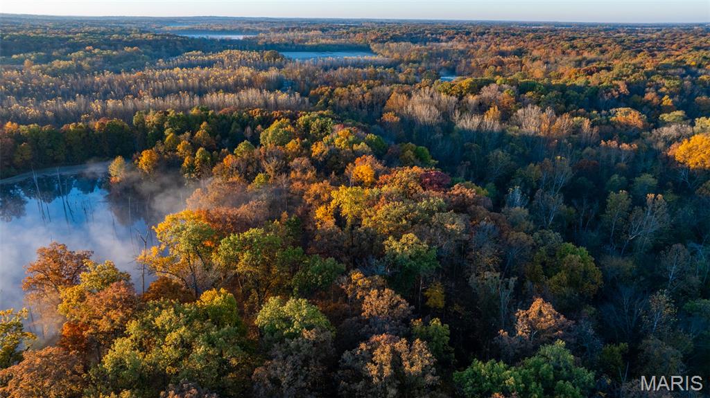 1847 Jaketown Road Donnellson, IL 62019 - Photo 28 of 78