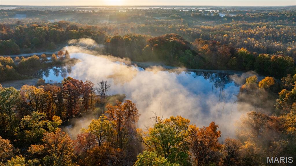 1847 Jaketown Road Donnellson, IL 62019 - Photo 30 of 78