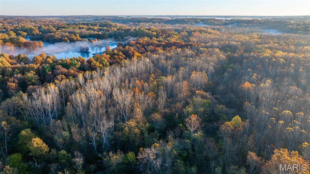1847 Jaketown Road Donnellson, IL 62019 - Photo 31 of 78