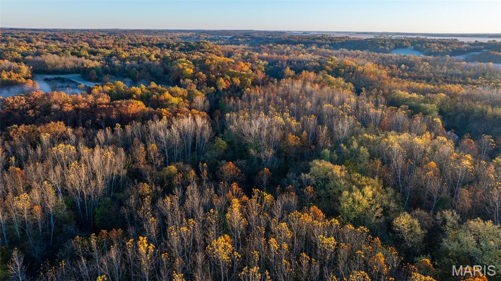 1847 Jaketown Road Donnellson, IL 62019 - Photo 32 of 78