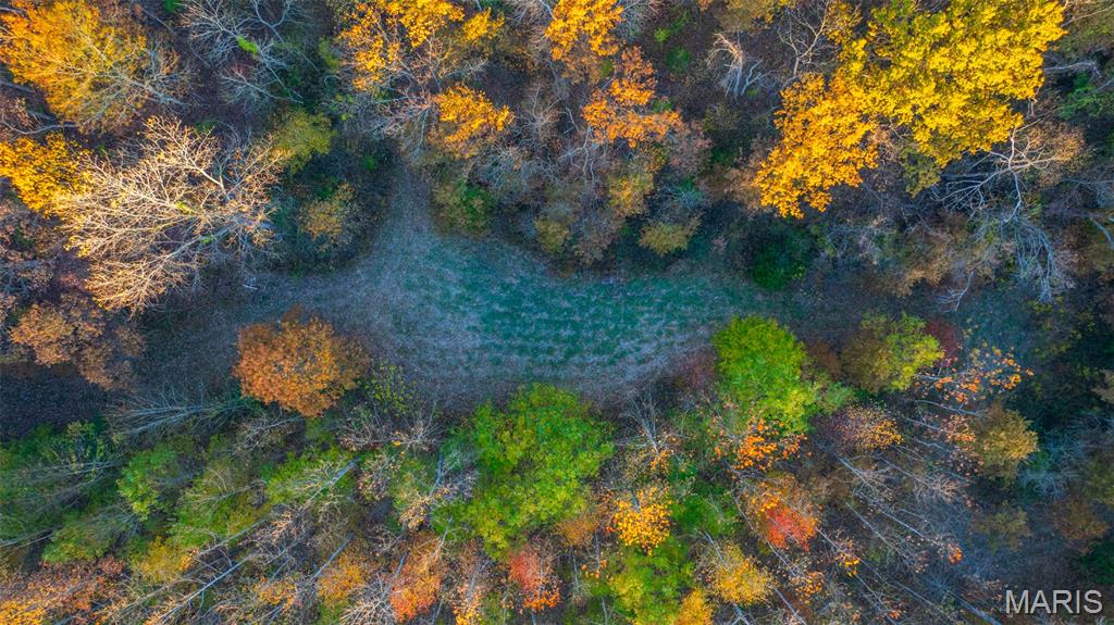 1847 Jaketown Road Donnellson, IL 62019 - Photo 33 of 78
