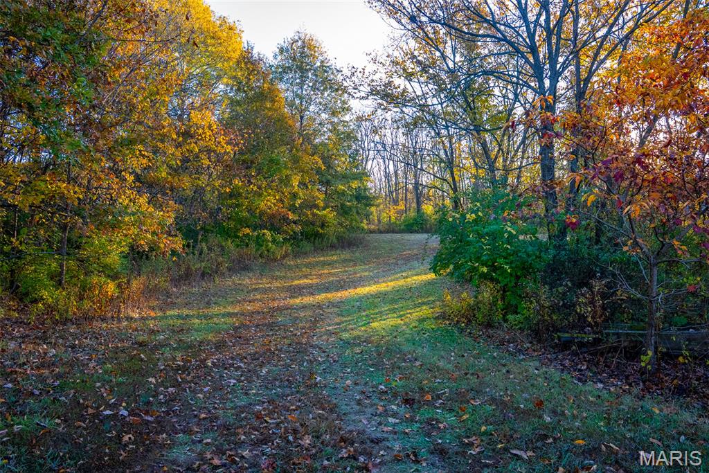 1847 Jaketown Road Donnellson, IL 62019 - Photo 44 of 78