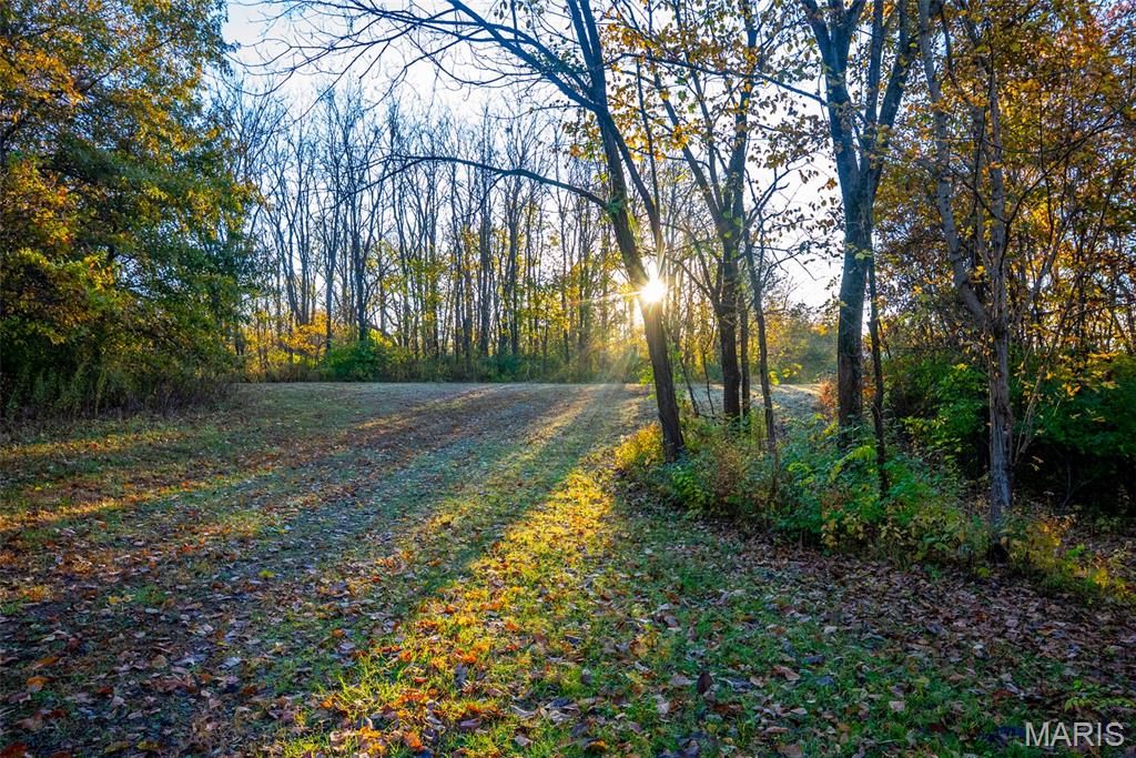 1847 Jaketown Road Donnellson, IL 62019 - Photo 45 of 78