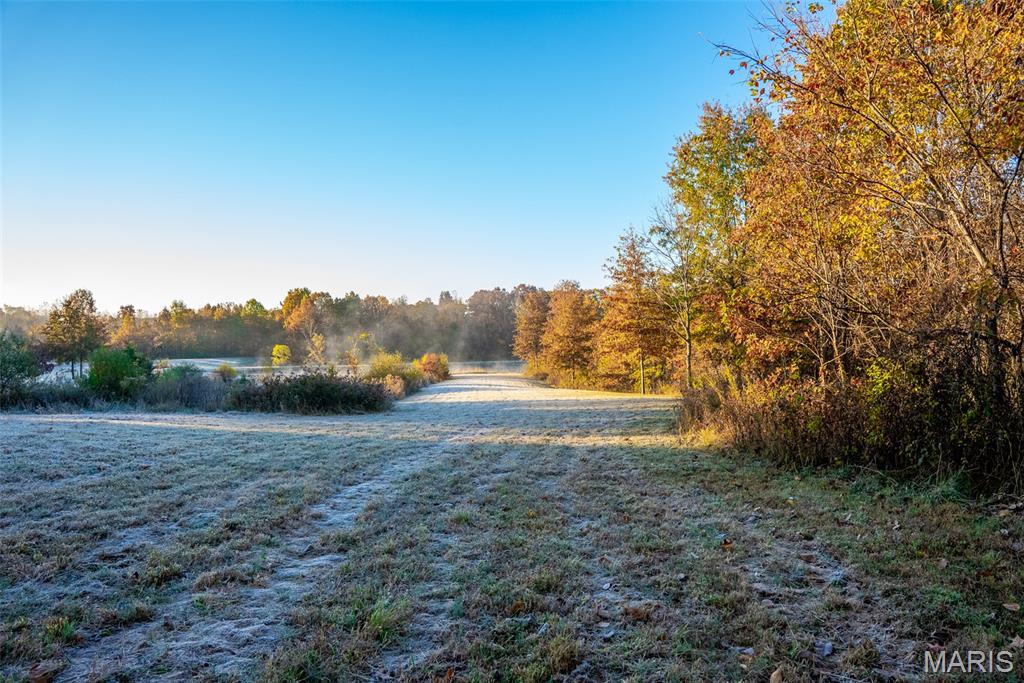 1847 Jaketown Road Donnellson, IL 62019 - Photo 46 of 78