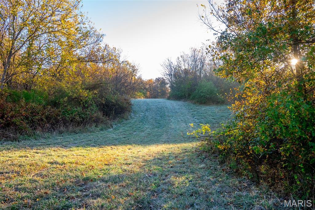 1847 Jaketown Road Donnellson, IL 62019 - Photo 50 of 78