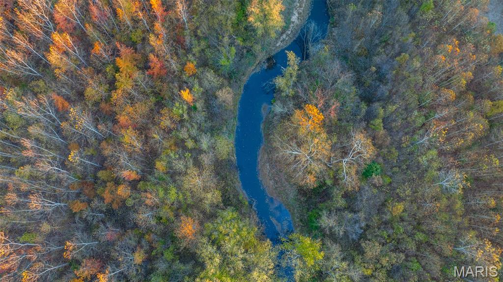 1847 Jaketown Road Donnellson, IL 62019 - Photo 5 of 78