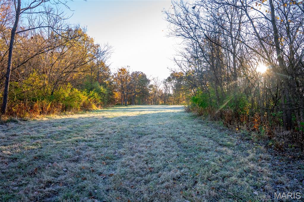 1847 Jaketown Road Donnellson, IL 62019 - Photo 51 of 78