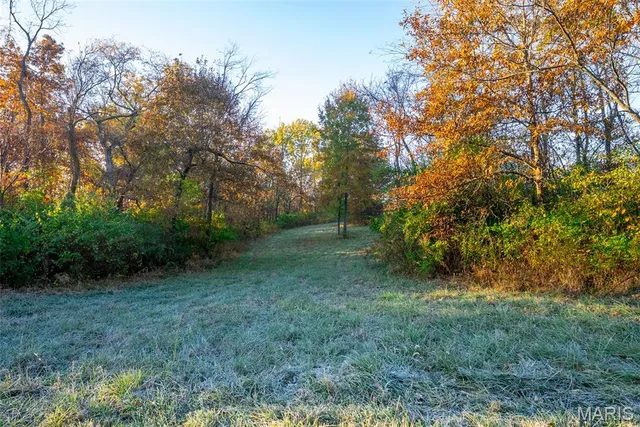 $619,000 | 1847 Jaketown Road, Donnellson, IL 62019