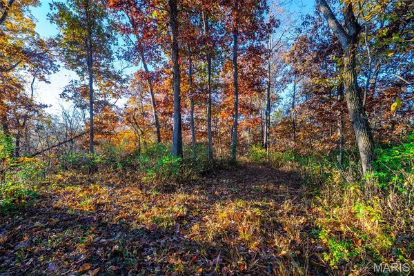 $600,000 | 1847 Jaketown Road, Donnellson, IL 62019