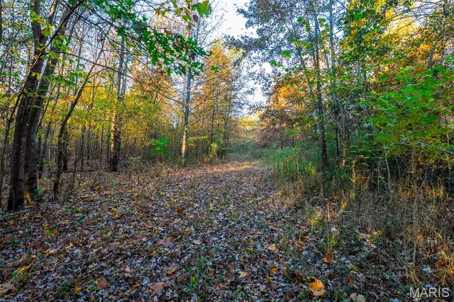 $619,000 | 1847 Jaketown Road, Donnellson, IL 62019