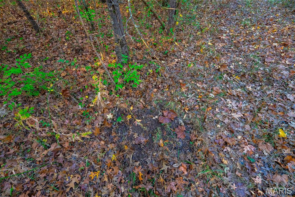 1847 Jaketown Road Donnellson, IL 62019 - Photo 57 of 78