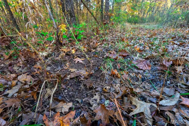 $619,000 | 1847 Jaketown Road, Donnellson, IL 62019