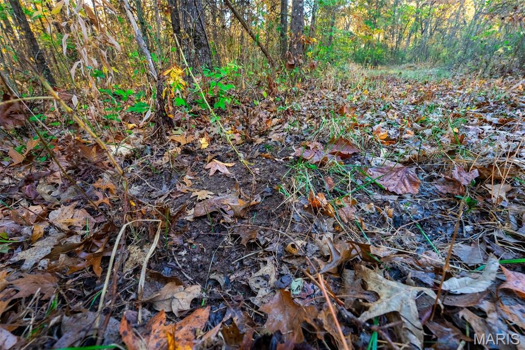 1847 Jaketown Road Donnellson, IL 62019 - Photo 58 of 78