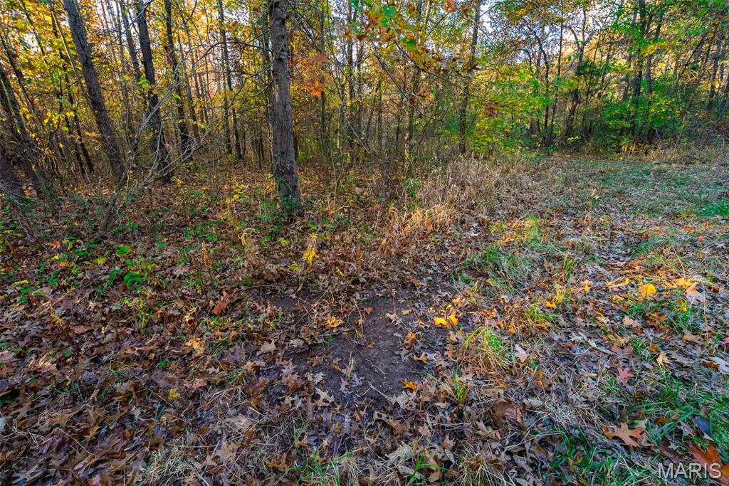 1847 Jaketown Road Donnellson, IL 62019 - Photo 60 of 78