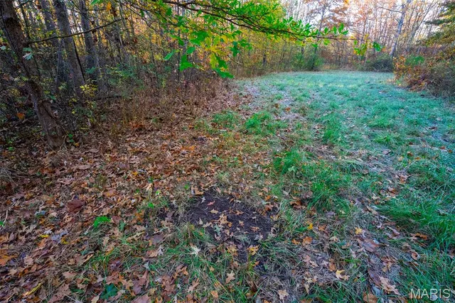 $619,000 | 1847 Jaketown Road, Donnellson, IL 62019