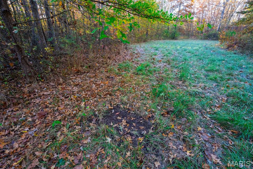 1847 Jaketown Road Donnellson, IL 62019 - Photo 61 of 78