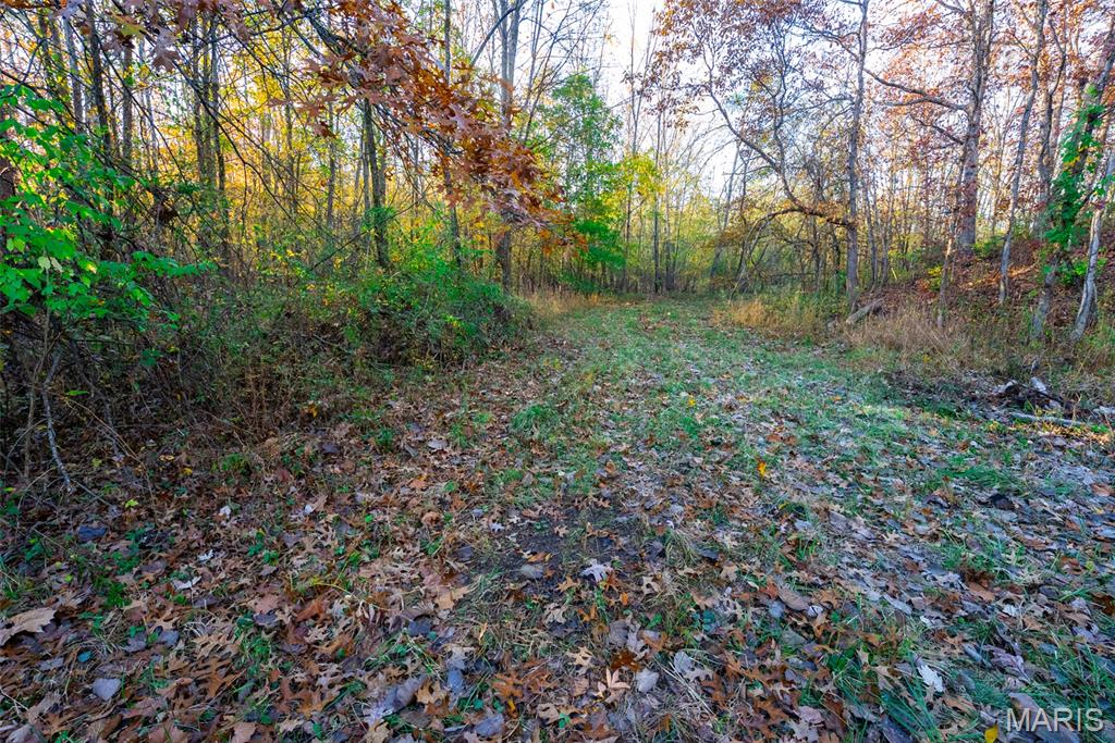 1847 Jaketown Road Donnellson, IL 62019 - Photo 62 of 78