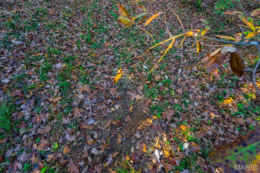 1847 Jaketown Road Donnellson, IL 62019 - Photo 63 of 78