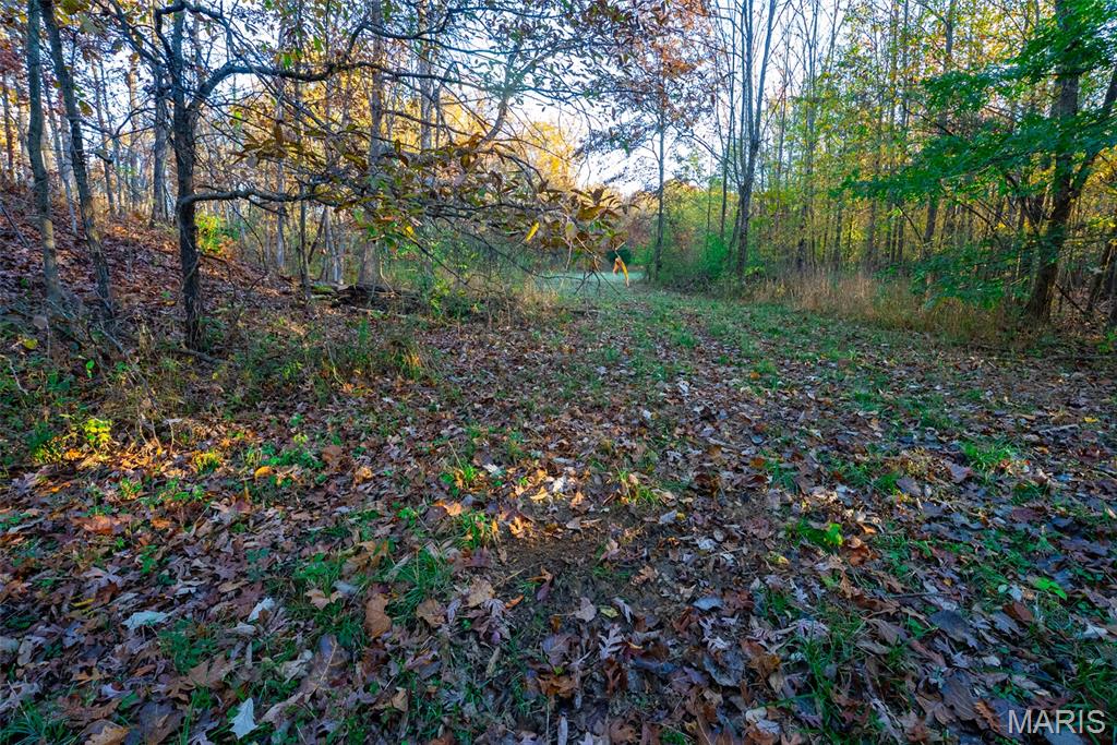 1847 Jaketown Road Donnellson, IL 62019 - Photo 64 of 78