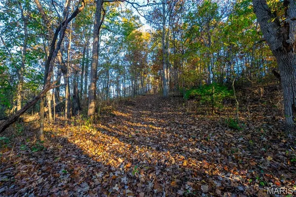$600,000 | 1847 Jaketown Road, Donnellson, IL 62019