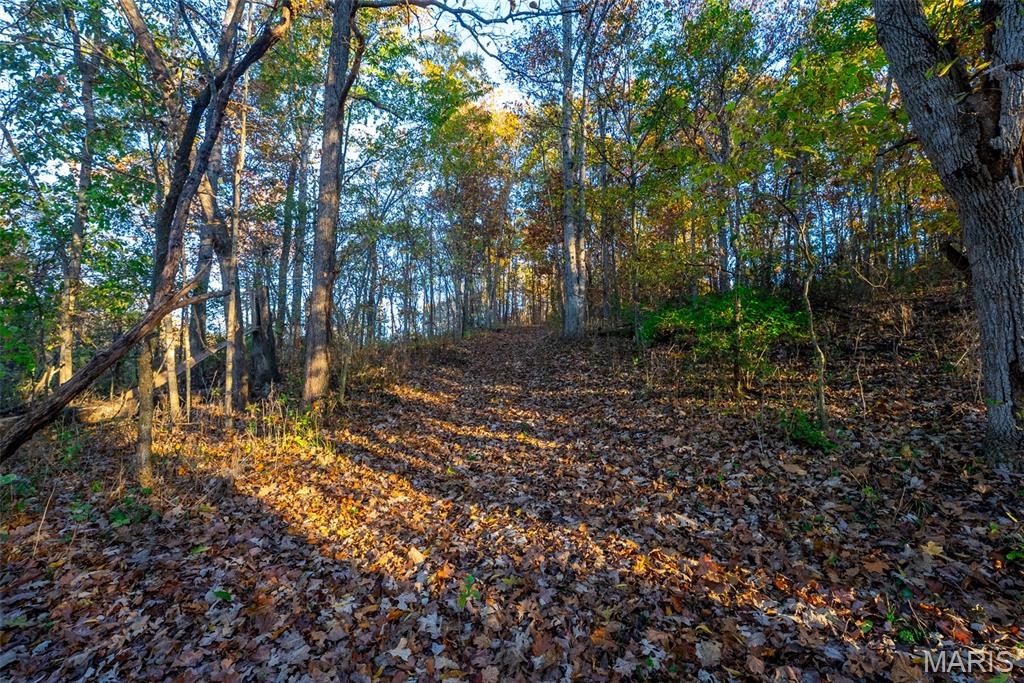1847 Jaketown Road Donnellson, IL 62019 - Photo 66 of 78