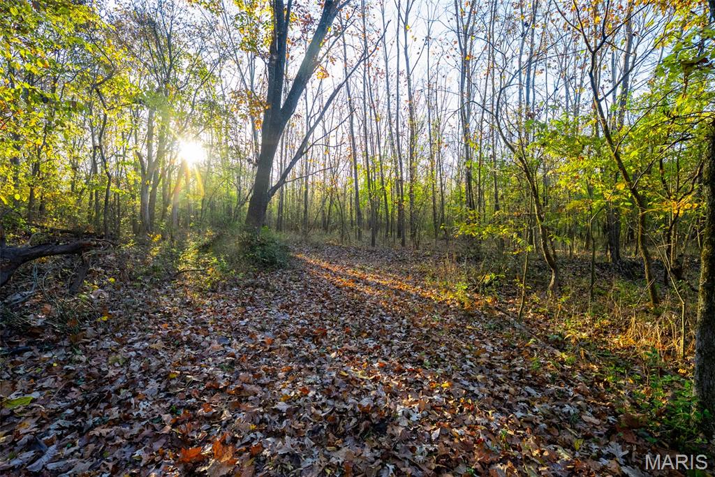 1847 Jaketown Road Donnellson, IL 62019 - Photo 67 of 78