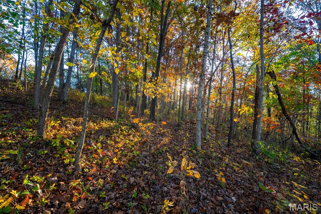 1847 Jaketown Road Donnellson, IL 62019 - Photo 68 of 78