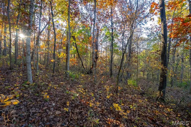 $619,000 | 1847 Jaketown Road, Donnellson, IL 62019