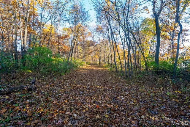 $619,000 | 1847 Jaketown Road, Donnellson, IL 62019