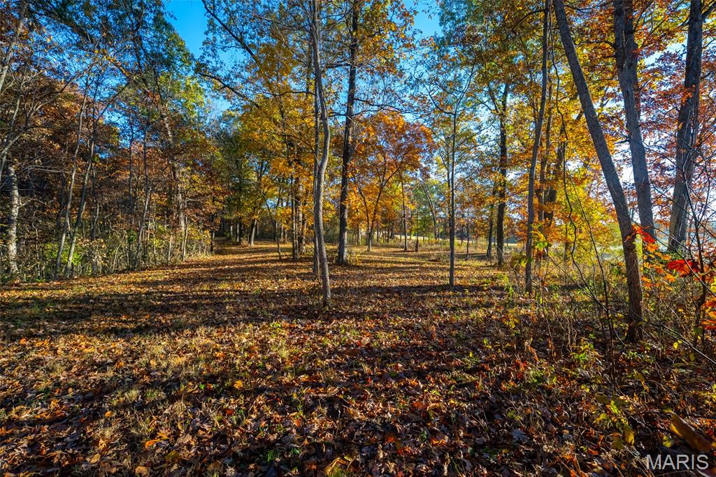 1847 Jaketown Road Donnellson, IL 62019 - Photo 72 of 78