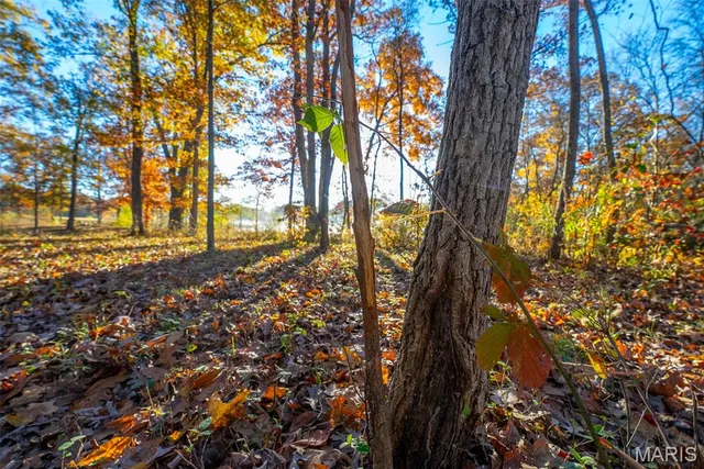 $619,000 | 1847 Jaketown Road, Donnellson, IL 62019