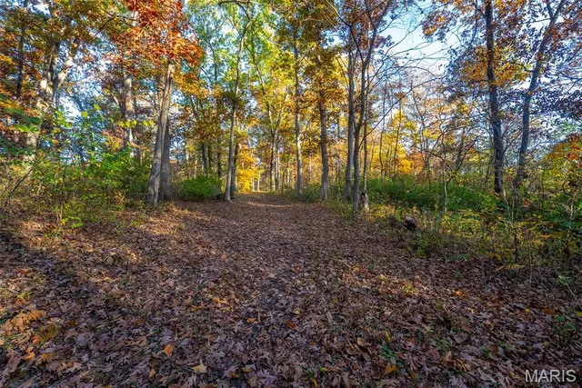 $619,000 | 1847 Jaketown Road, Donnellson, IL 62019