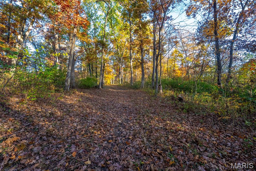 1847 Jaketown Road Donnellson, IL 62019 - Photo 75 of 78