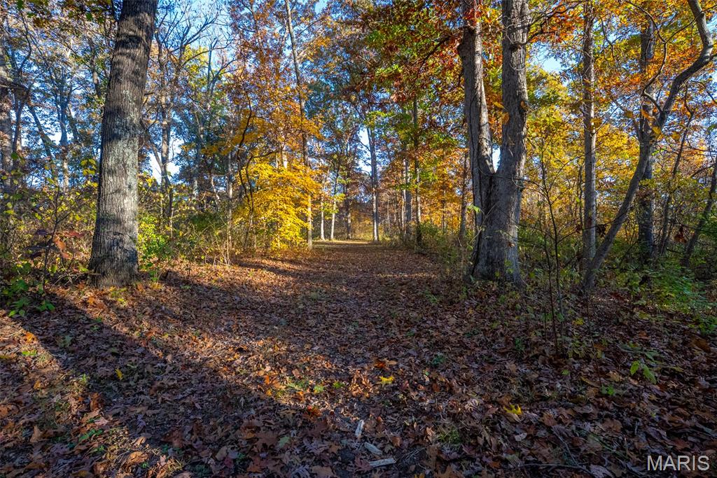 1847 Jaketown Road Donnellson, IL 62019 - Photo 76 of 78