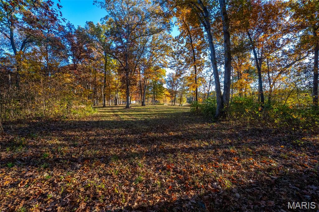 1847 Jaketown Road Donnellson, IL 62019 - Photo 77 of 78