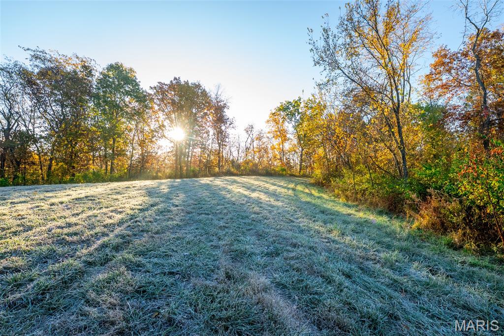 1847 Jaketown Road Donnellson, IL 62019 - Photo 8 of 78