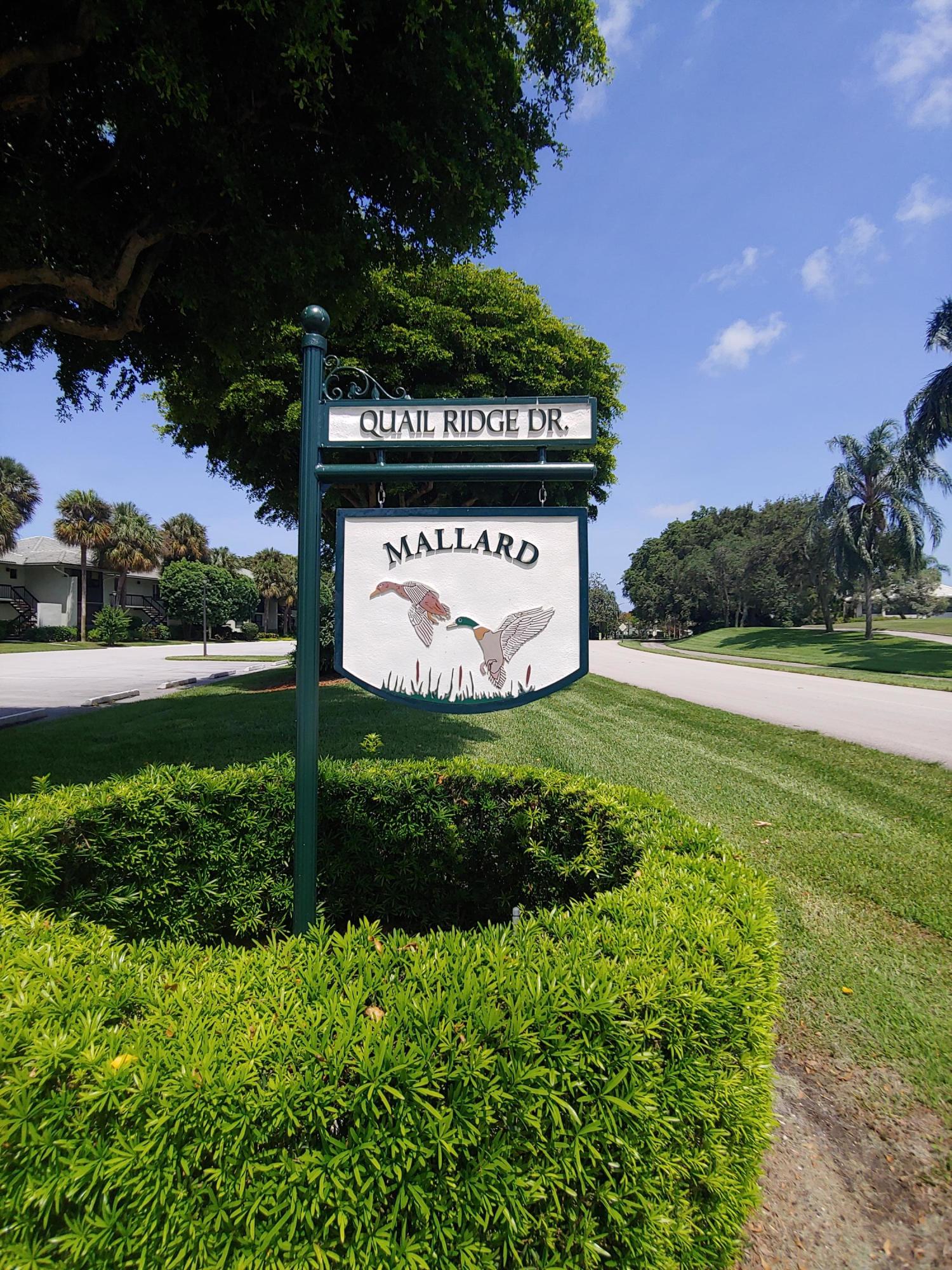 3845 North Quail Ridge Drive Boynton Beach, FL 33436 - Photo 19 of 23 Mallard