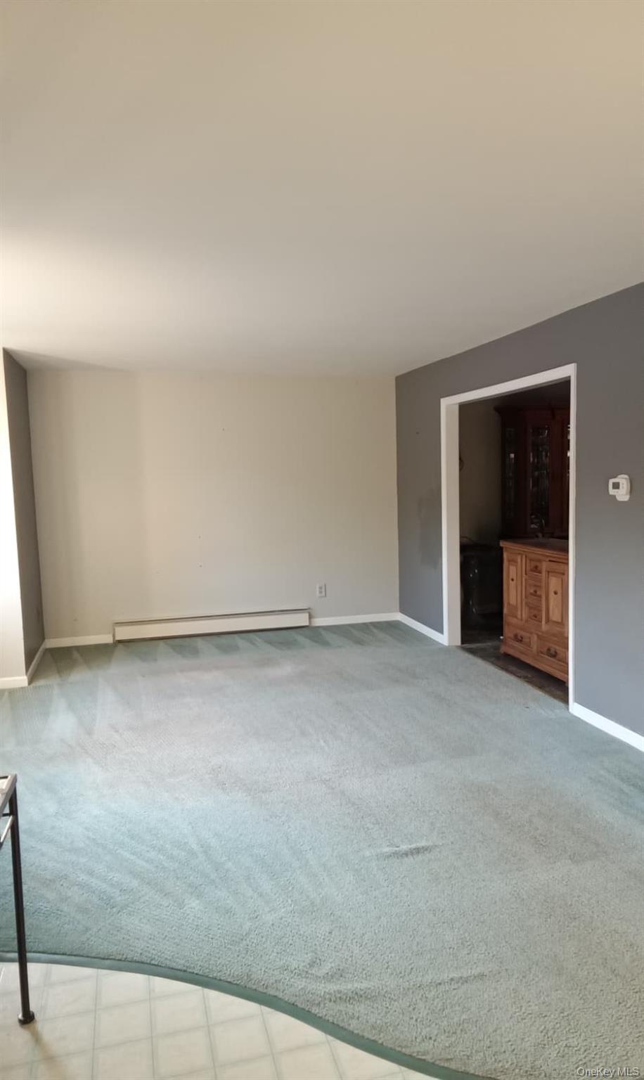 88 Barnes Road Blooming Grove, NY 10992 - Photo 10 of 12 baseboard radiator and baseboards