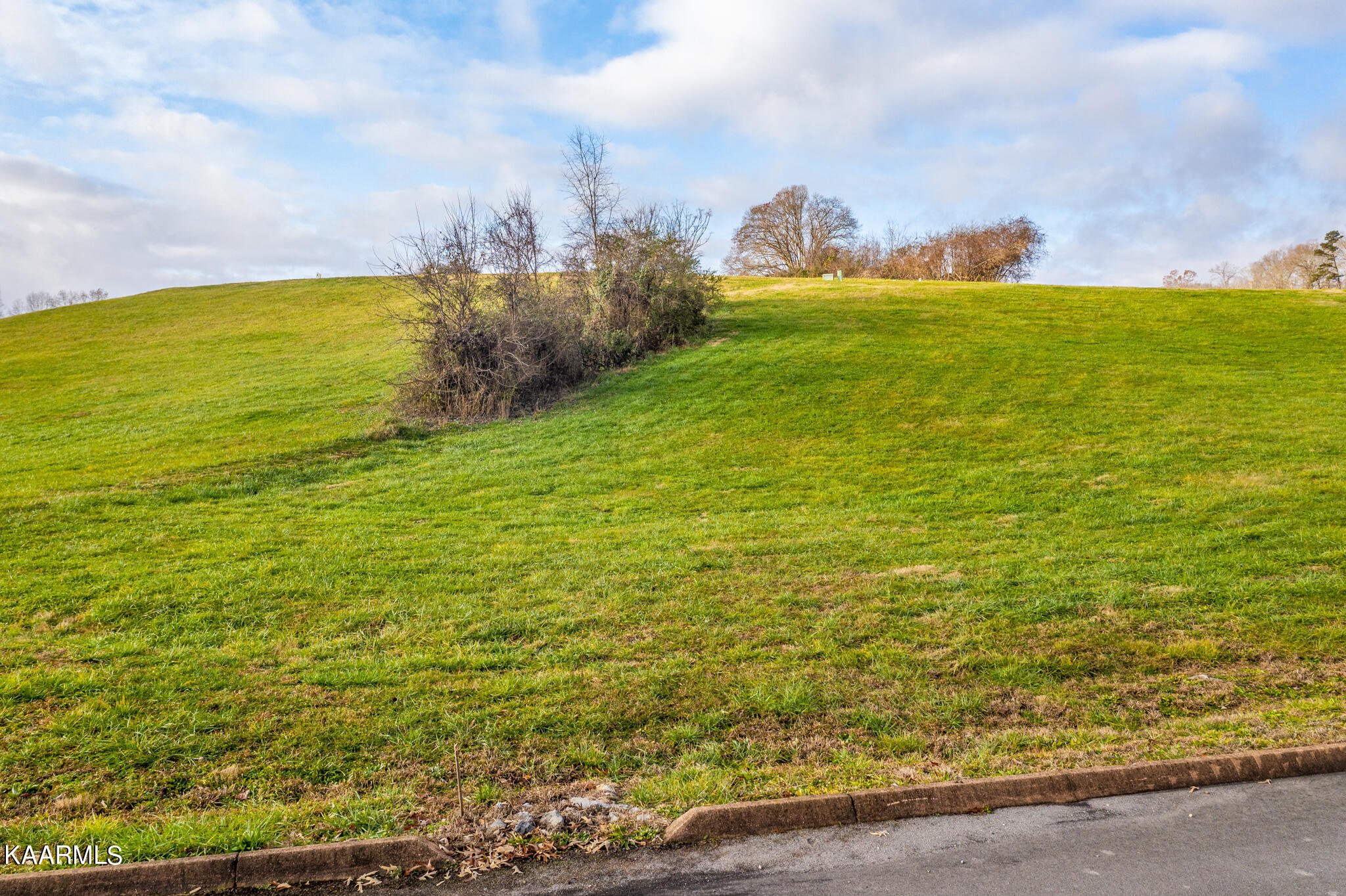 Lot 41 Shiloh Springs Road Rutledge, TN 37861 - Photo 2 of 16 2