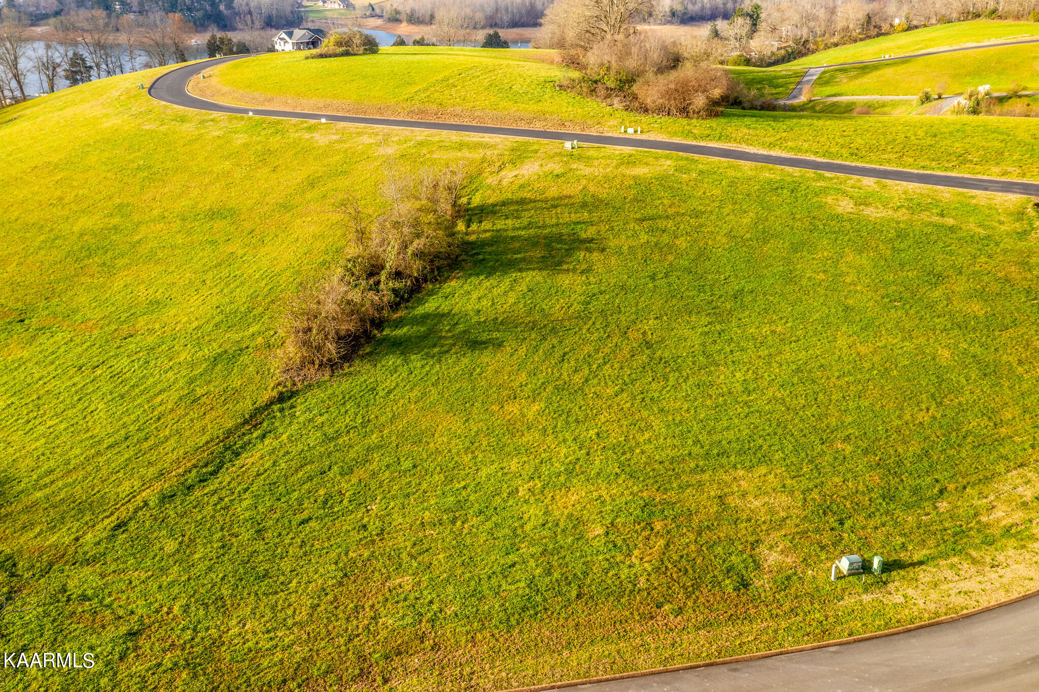 Lot 41 Shiloh Springs Road Rutledge, TN 37861 - Photo 3 of 16 3