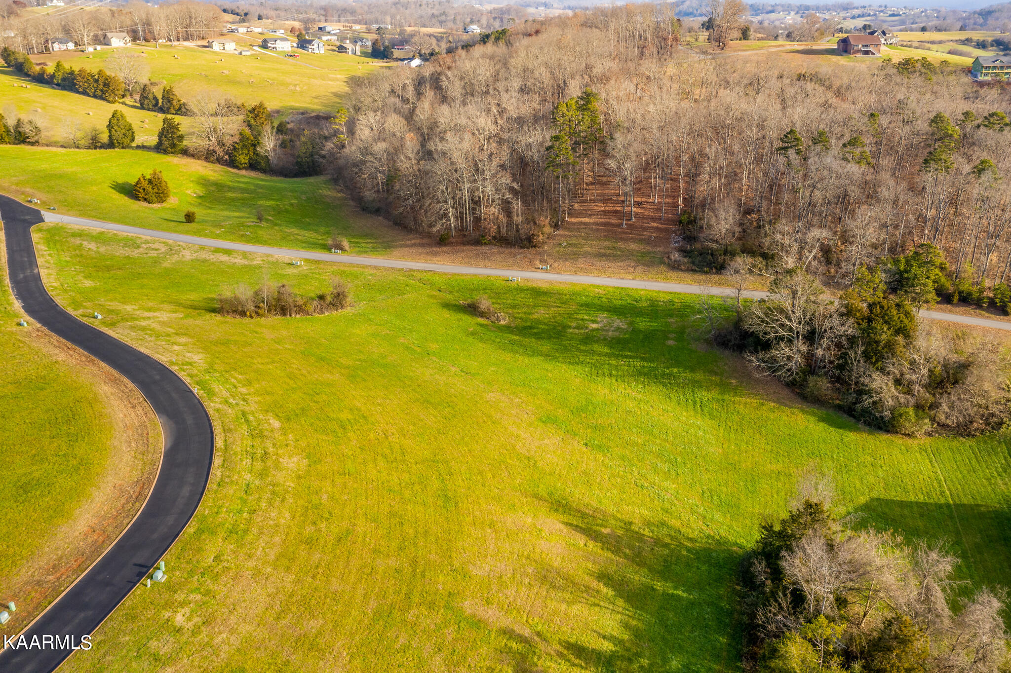 Lot 41 Shiloh Springs Road Rutledge, TN 37861 - Photo 4 of 16 4