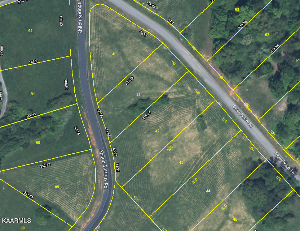 Lot 41 Shiloh Springs Road Rutledge, TN 37861 - Photo 5 of 16 5