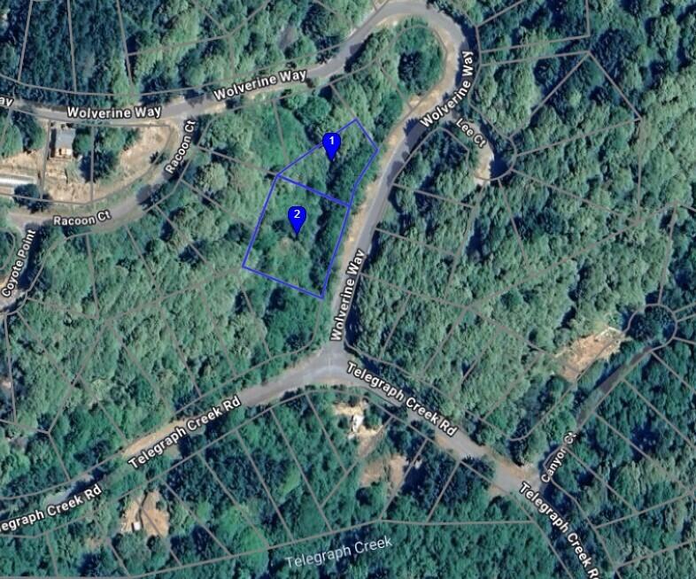 000 Wolverine Way Whitethorn, CA 95589 - Photo 9 of 9 Screenshot 2025-12-03 153623